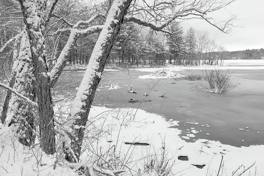 Black And White Photograph - Snowy Winter Shoreline with Beaver Hut by Betty Denise