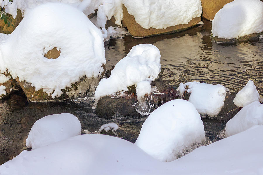Snowy Winter Stream in Prospect Park Photograph by Auden Johnson