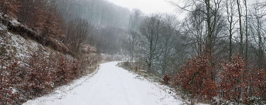 Snowy winter trail Photograph by Mavroudakis Fotis Photography