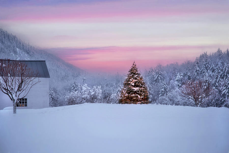 Snowy Winter Vermont Morning Photograph by Joann Vitali