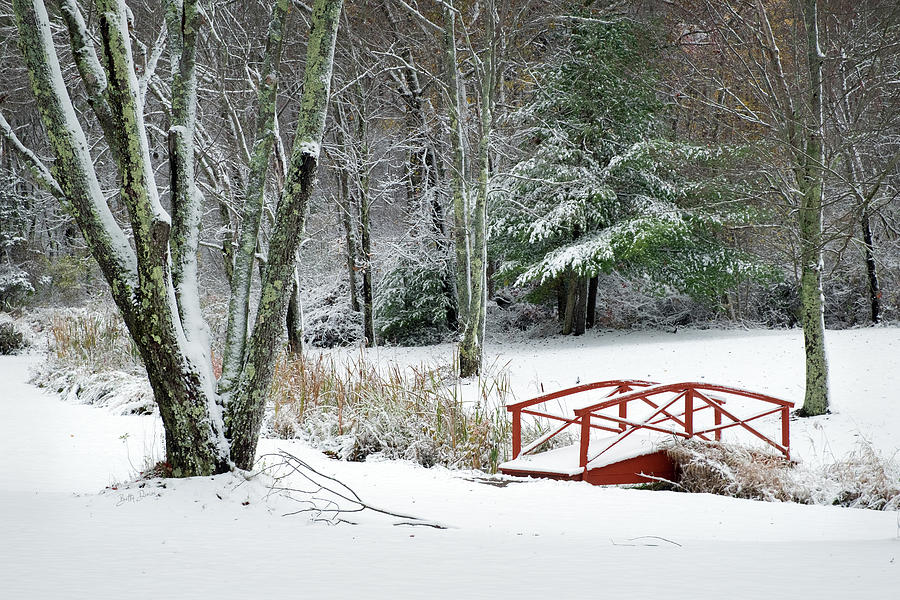 Landscape Photograph - Snowy Winter Woodland Bridge by Betty Denise