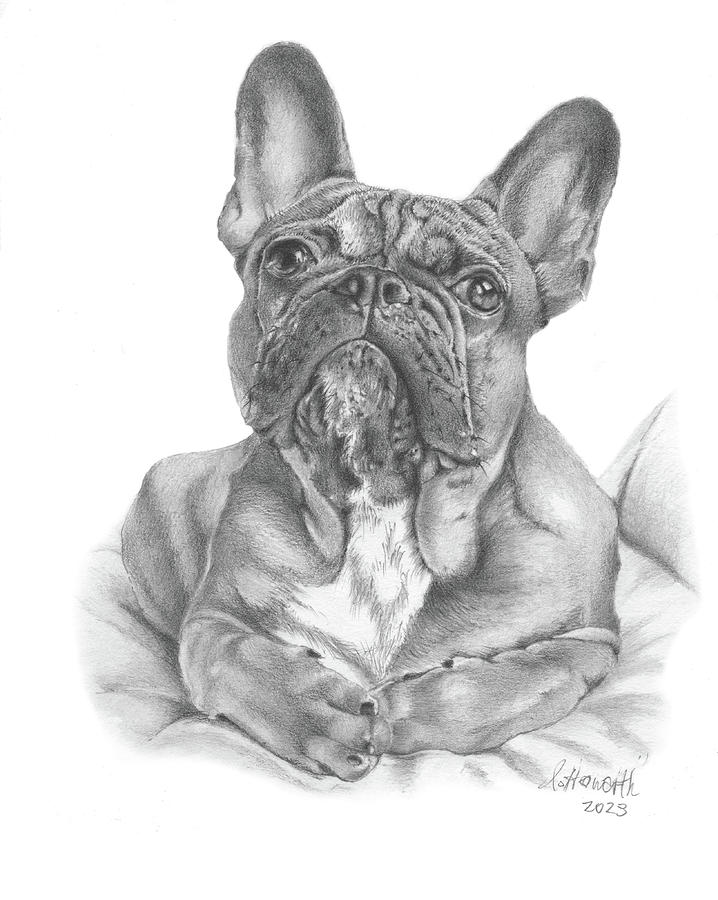 French Bulldog Drawing - Snuggle Bug by Louise Howarth