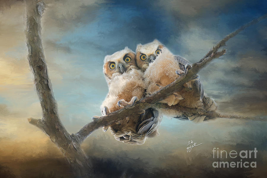 Two Snuggly Owl Babies Photograph by TK Goforth