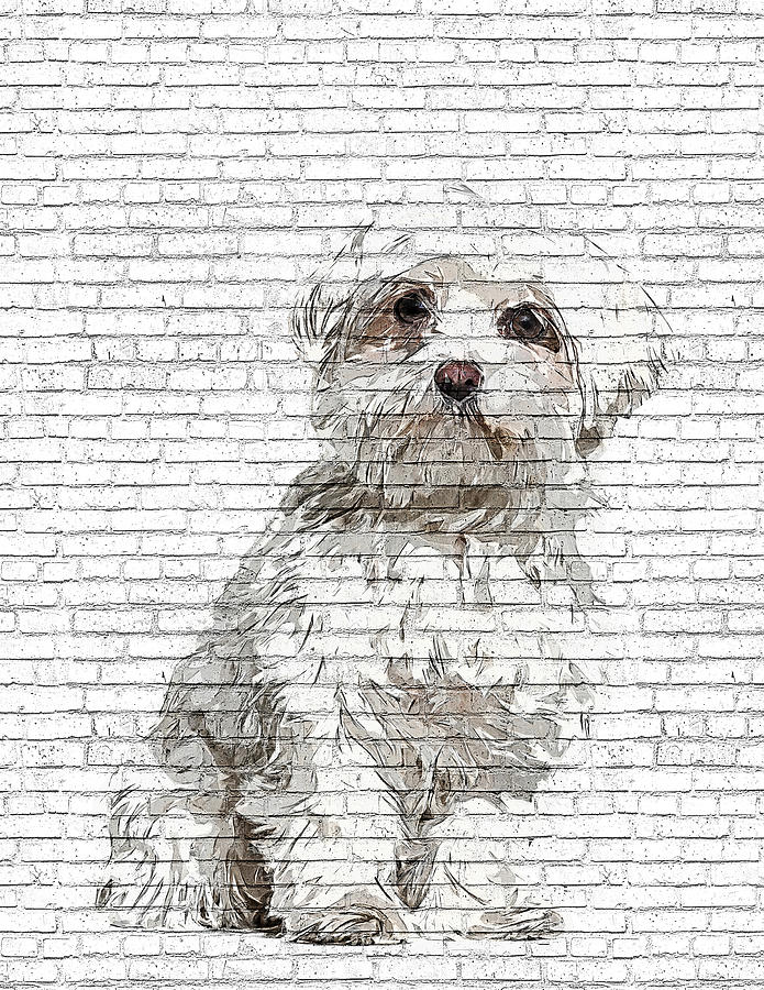 So adorable and cute, Maltese dog - Brick Block Background Painting by Custom Pet Portrait Art Studio