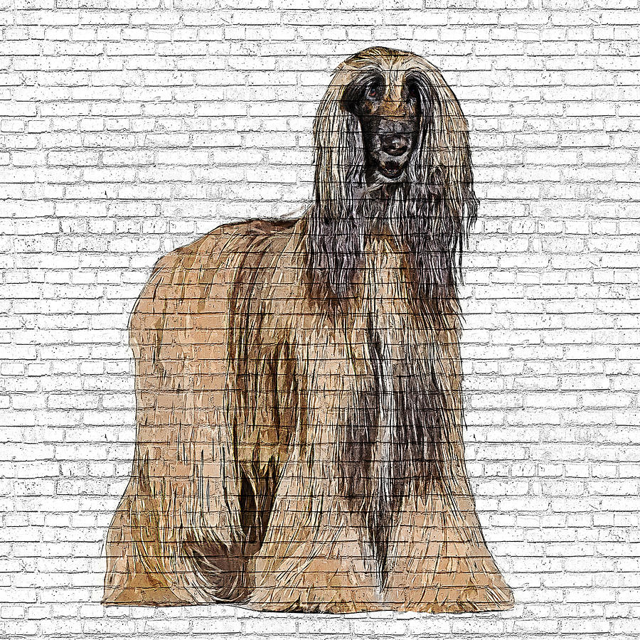 So Beautiful, Afghan Hound Dog - Brick Block Background Painting by Custom Pet Portrait Art Studio