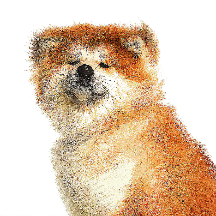 So Cool, Akita Dog Painting by Custom Pet Portrait Art Studio