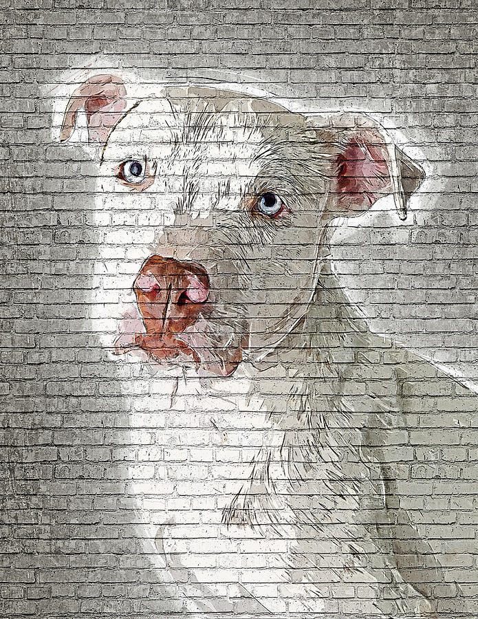 So Cool and Beautiful - White Pit Bull - Brick Block Background Painting by Custom Pet Portrait Art Studio