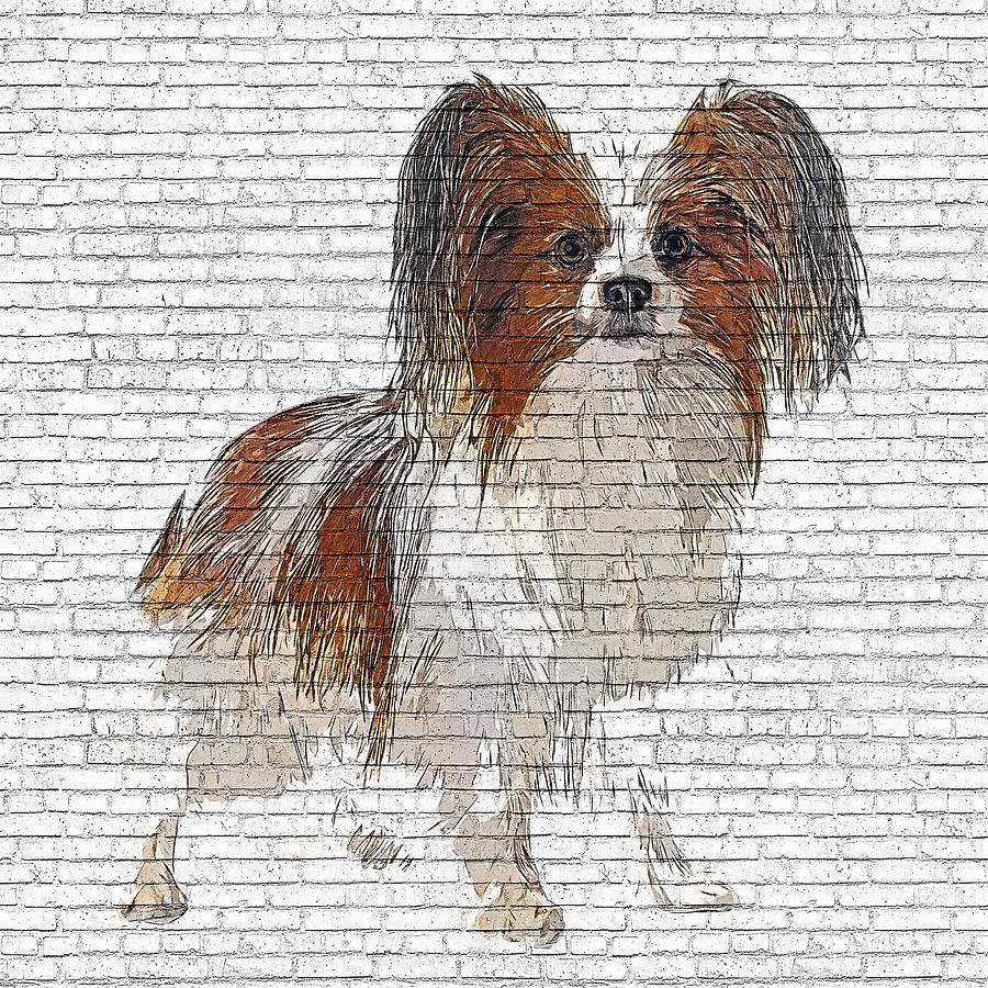 So Cute Papillon Dog - Brick Block Background Painting by Custom Pet Portrait Art Studio