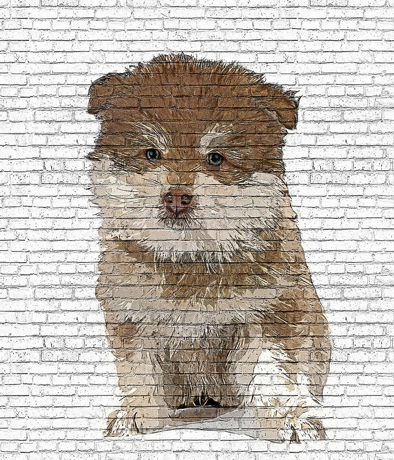 So Cute Puppy Finnish Lapphund Dog - Brick Block Background Painting by Custom Pet Portrait Art Studio