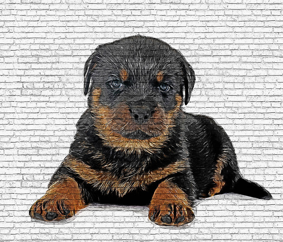 So Cute Rottweiler Dog Puppy - Brick Block Background Painting by Custom Pet Portrait Art Studio