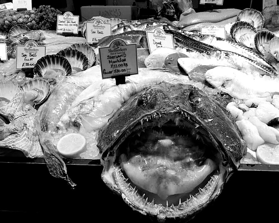 So Fresh It Will Bite You BW Photograph by Lee Darnell