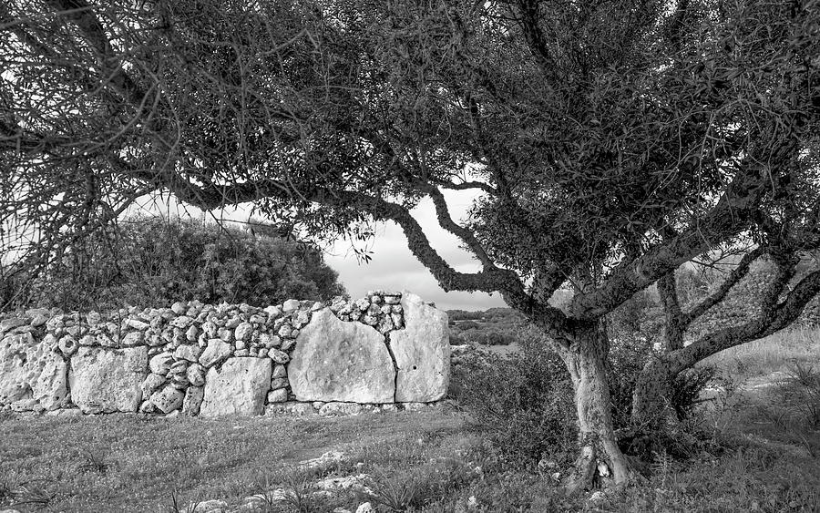 So Na Casana Stone Age Wall Photograph by Pedro Cardona Llambias