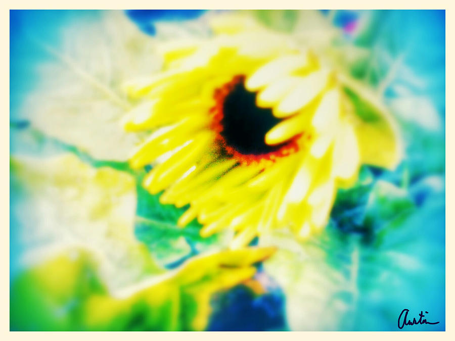 So Sunny And Lovely Photograph by Cepiatone Fine Art Callie E Austin