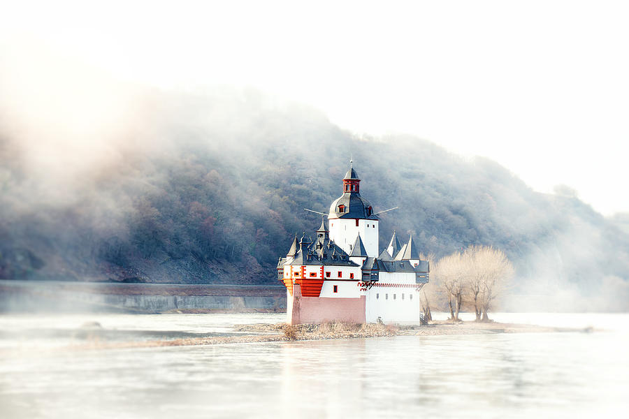 Soaked In The Rhine Photograph by Iryna Goodall
