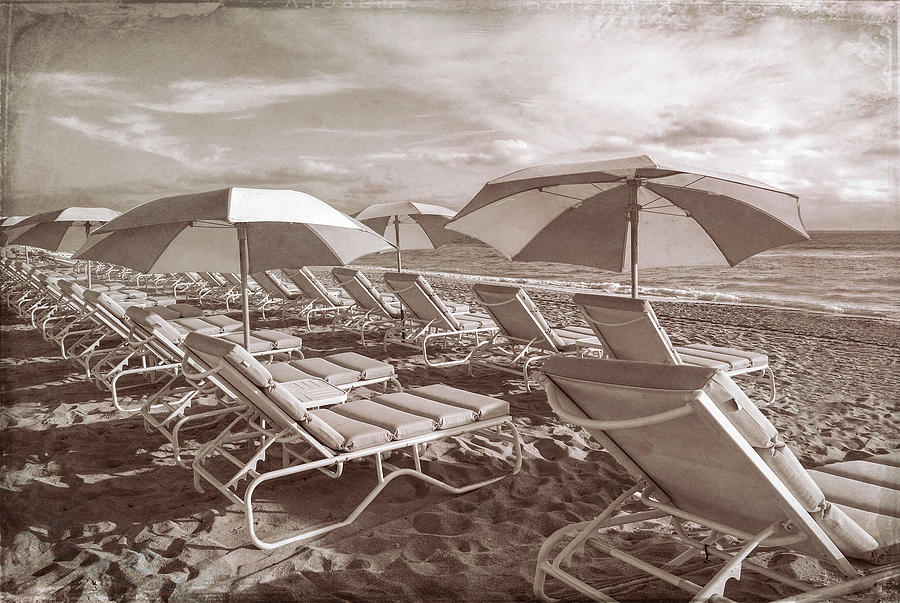 Soaking up the Sunshine in Vintage Sepia Photograph by Debra and Dave Vanderlaan