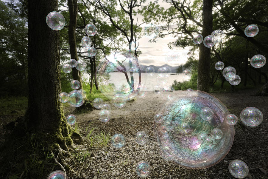 Soap Bubbles In A Forest Photograph by Theasis