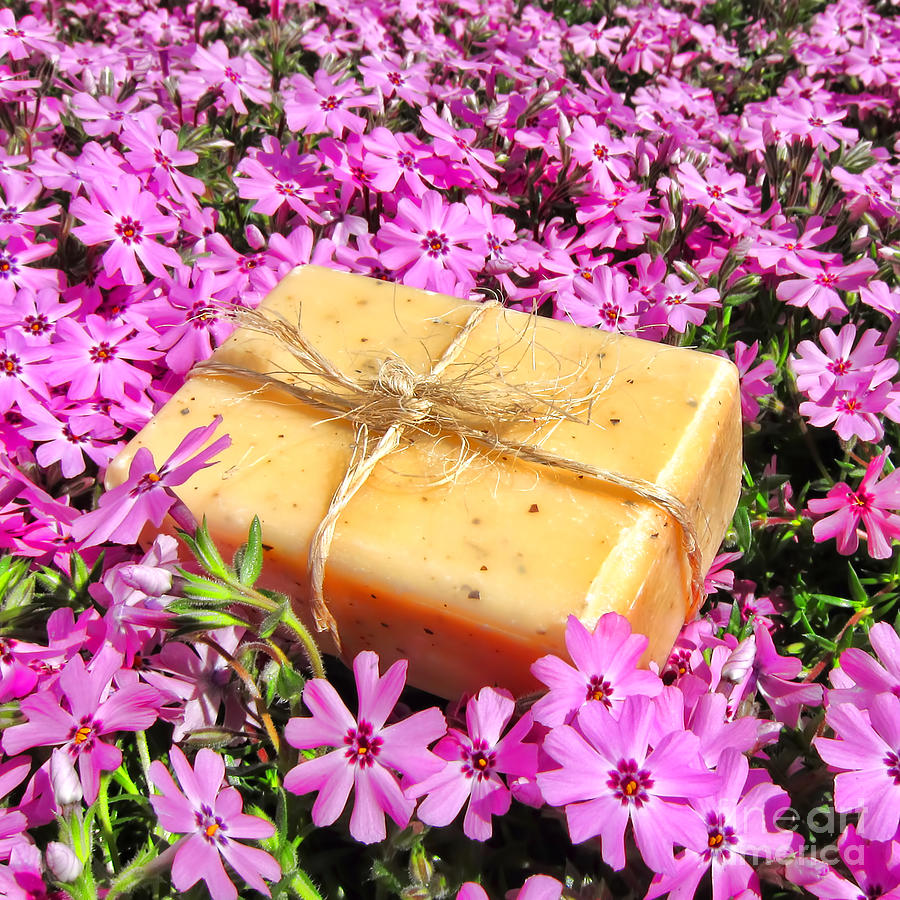 Soap on Flowers Photograph by Olivier Le Queinec