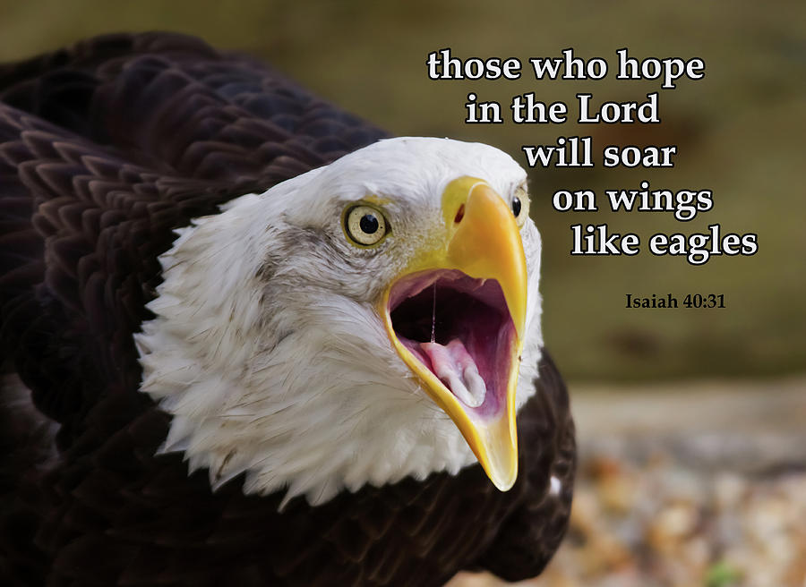 They will soar on wings like eagles.Isaiah 40:31' Women's T-Shirt