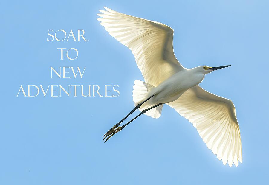 Soar to New Adventures Photograph by Rebecca Herranen Soar to New Adventures Photograph by Rebecca Herranen