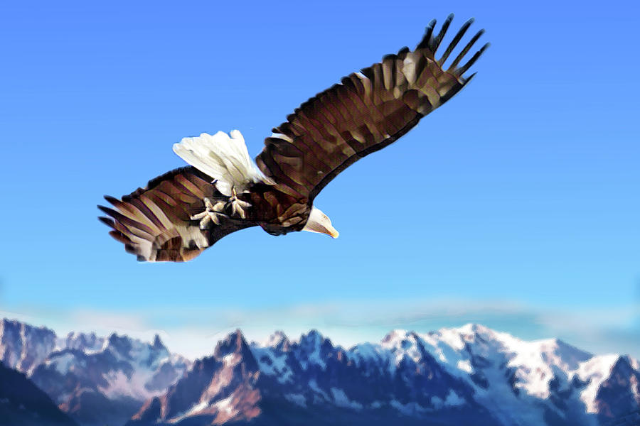 Soaring Eagle Digital Art by Robert Bissett