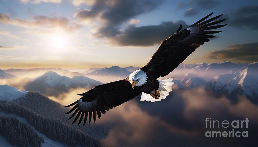 Soaring Eagle Digital Art by Tony Cooper