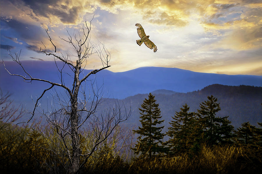 Soaring Hawk with a Smokey Mountain Sunset Photograph by Randall Nyhof Soaring Hawk with a Smokey Mountain Sunset Photograph by Randall Nyhof