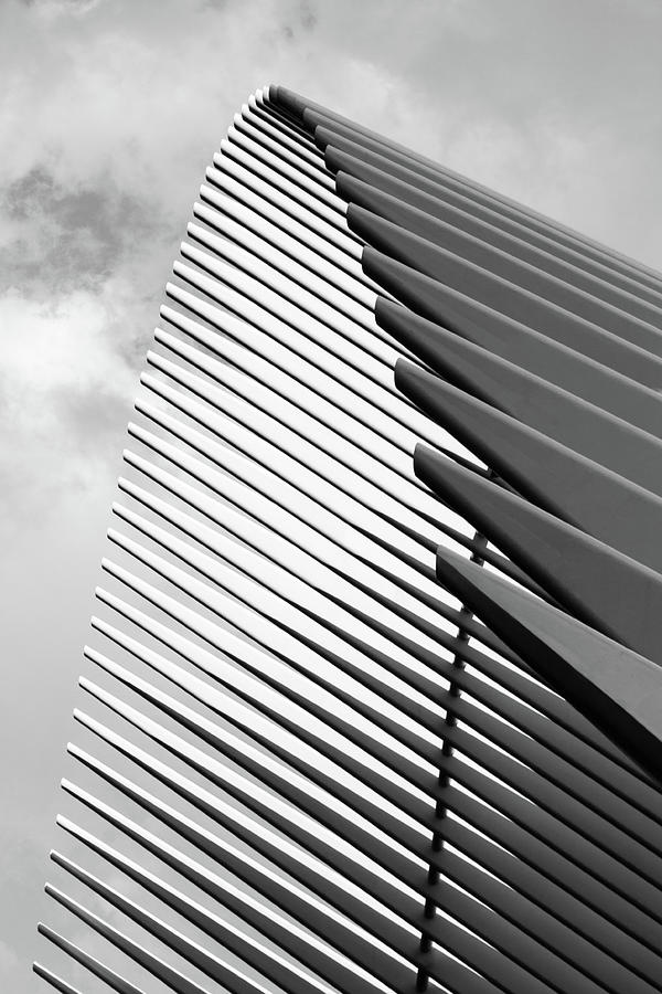 Soaring Lines Of Oculus, Black and White Photograph by Elvira Peretsman