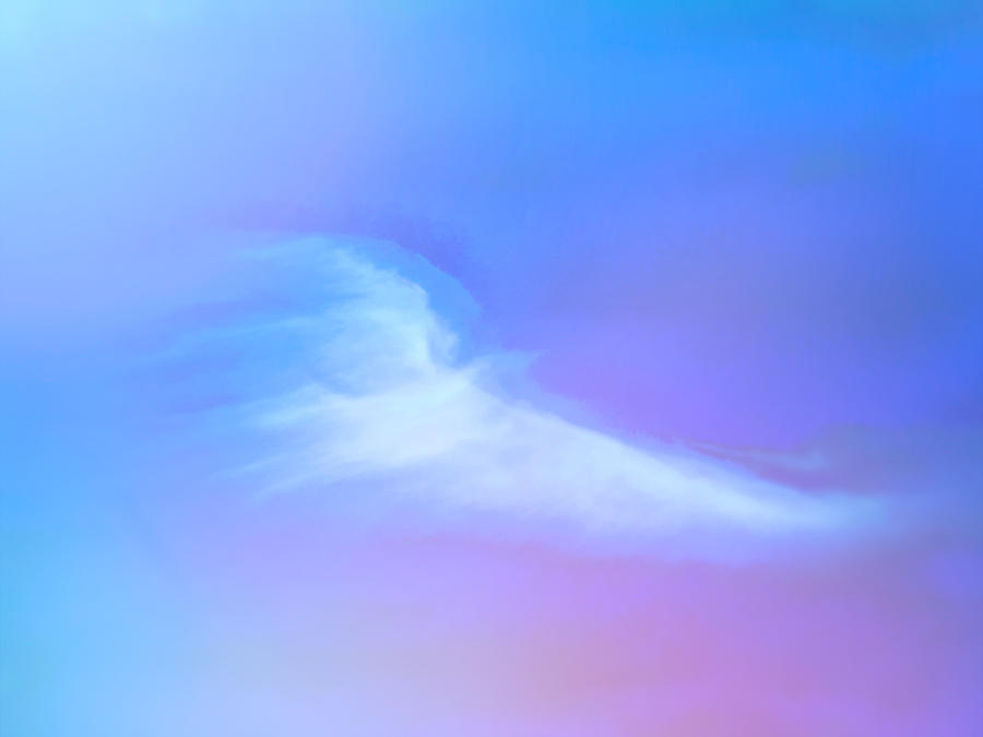 Soaring on the Wings of a Dove Digital Art by Steve Taylor