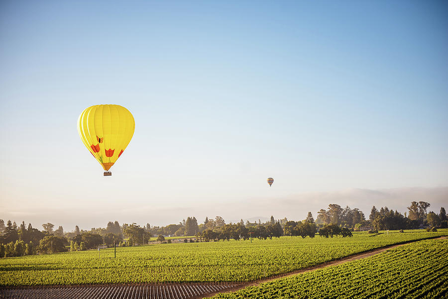 Soaring over Napa Photograph by Aileen Savage