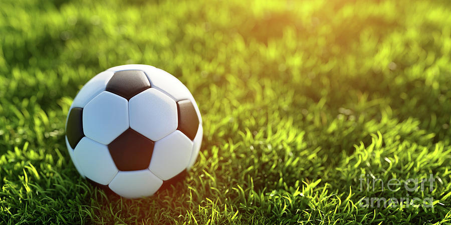 Soccer Photograph - Soccer, football ball on grass by Michal Bednarek
