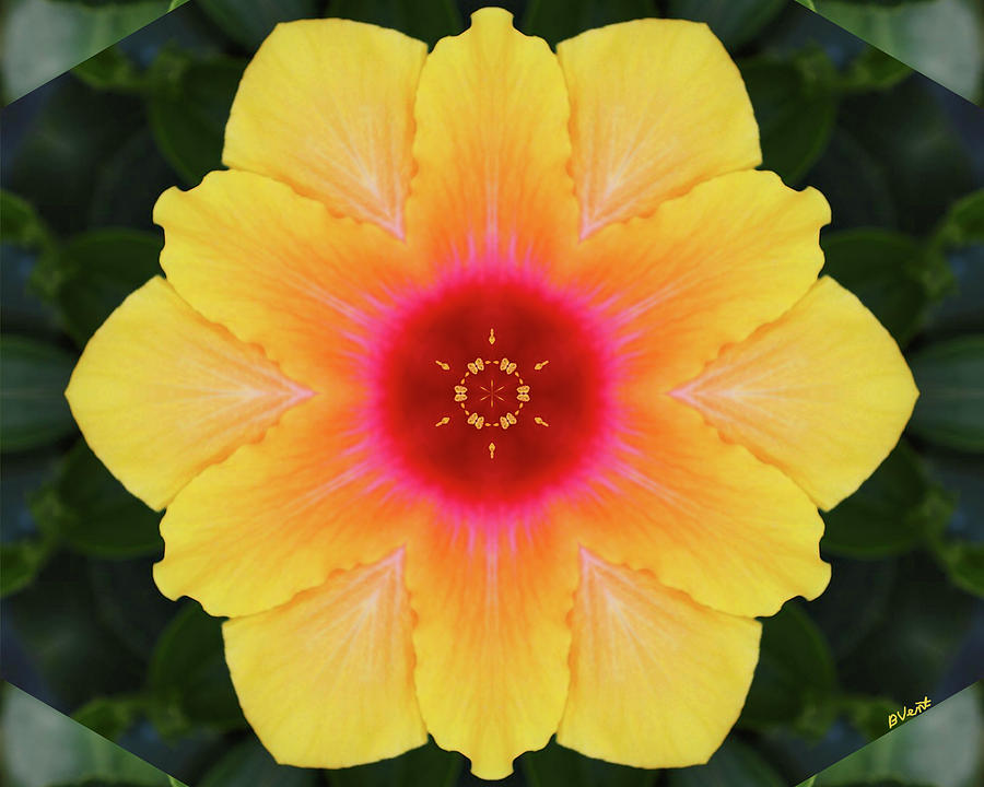 Yellow Digital Art - Social Butterfly by Bonnie Vent Yellow Digital Art - Social Butterfly by Bonnie Vent