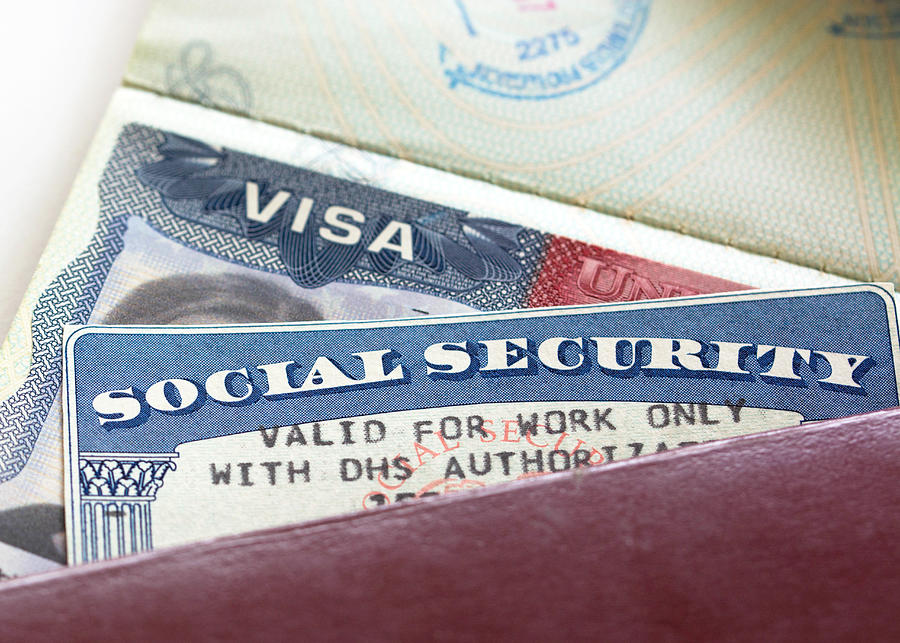 Social Security Card Photograph by TheaDesign
