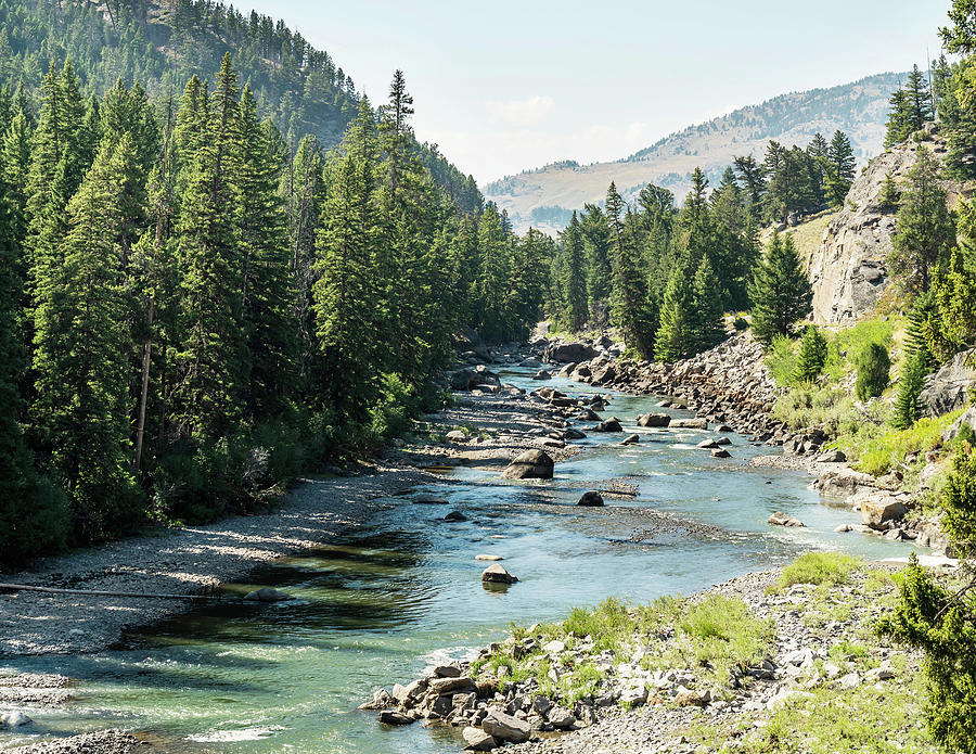 Soda Butte River Photograph by LeAnne Carpenter - Fine Art America