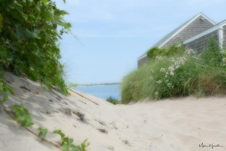 Soft And Inviting Dunes Above Baby Beach Photograph by Myles Weissleder Soft And Inviting Dunes Above Baby Beach Photograph by Myles Weissleder