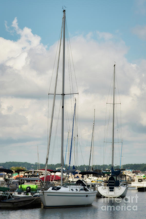 Soft and Tranquil Sailboats Photograph by Amy Dundon