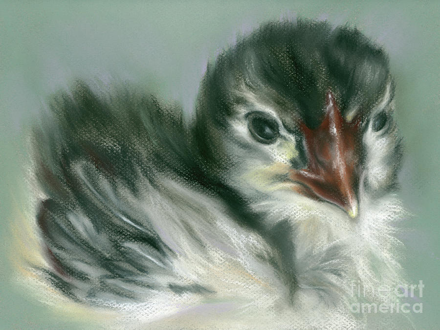 Soft Black and Yellow Chick Painting by MM Anderson