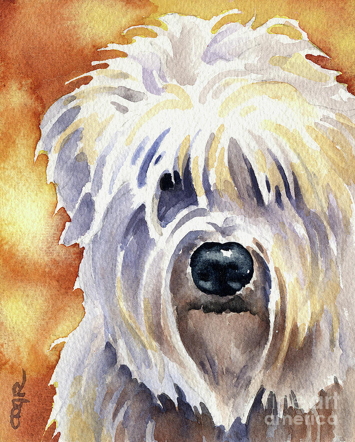 Dog Painting - Soft Coated Wheaten Terrier by David Rogers