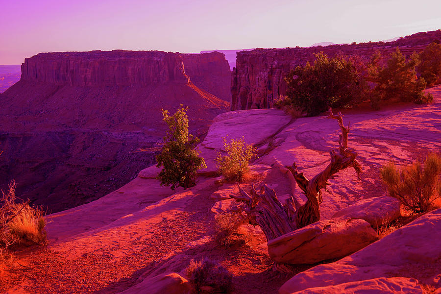 Soft color at Canyonlands Photograph by Jeff Swan