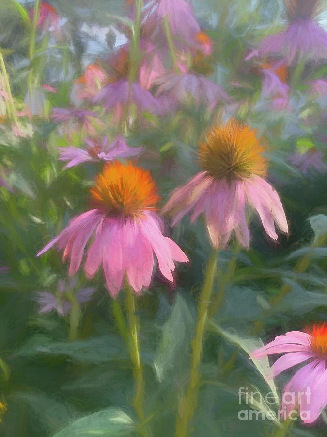 Soft Cone Flowers Photograph by Luther Fine Art