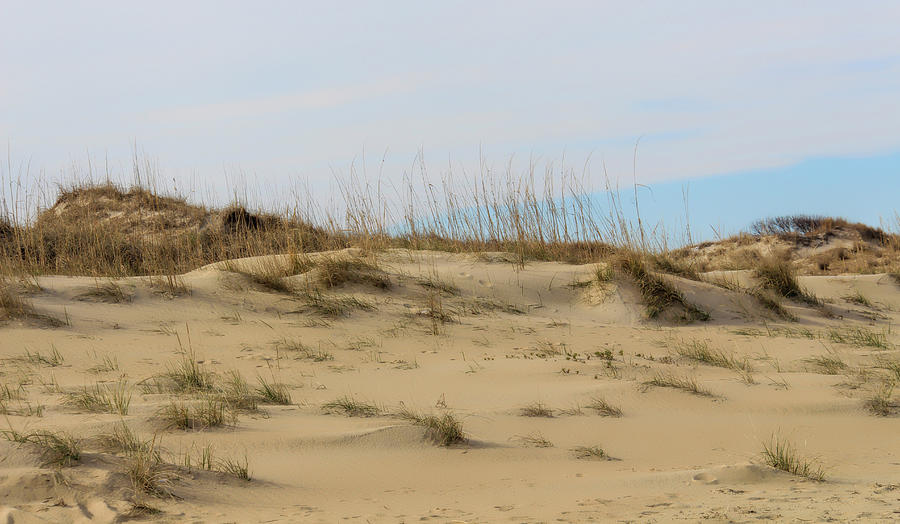 Soft Dunes Photograph by Dan Ledbetter - Fine Art America