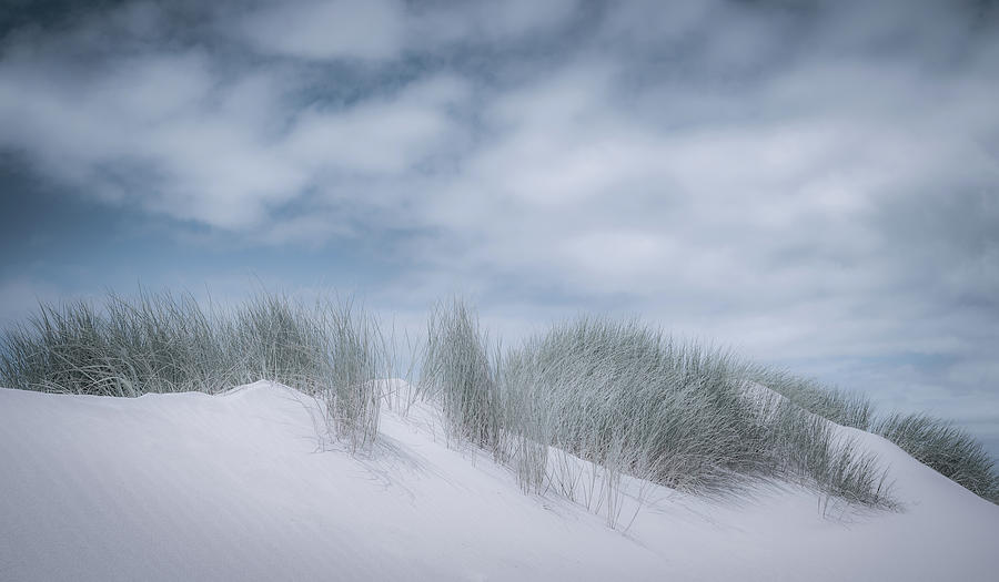 Soft Dunes Photograph by Don Schwartz