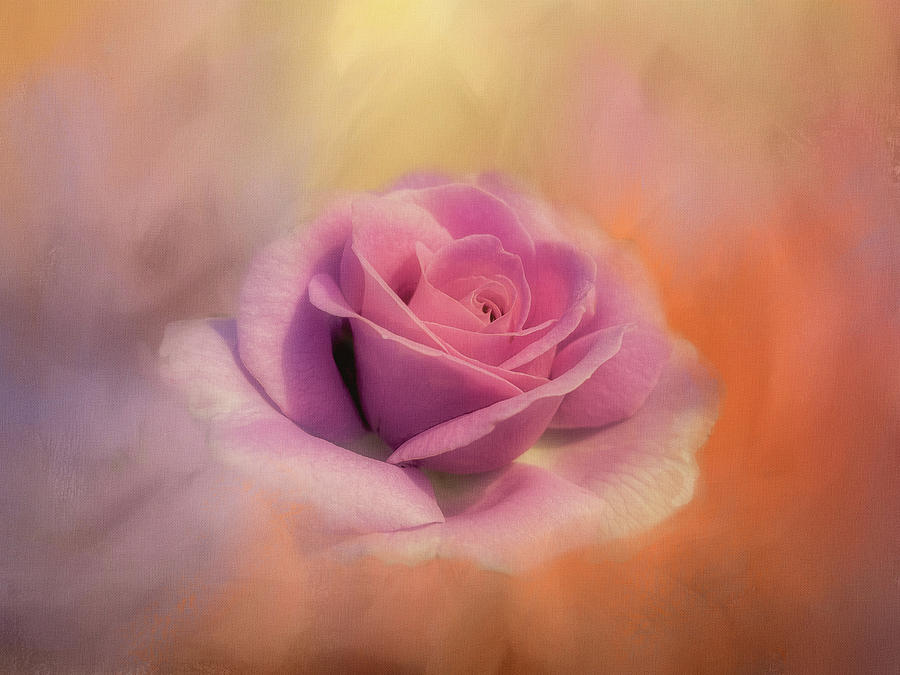 Soft Dusty Rose Digital Art by Terry Davis