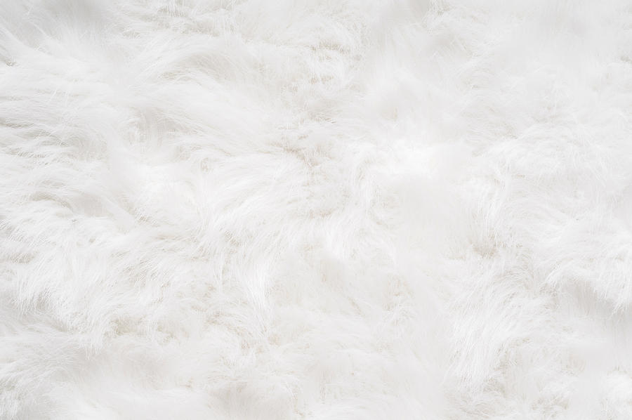 Soft, Fluffy Background Photograph by Ideabug