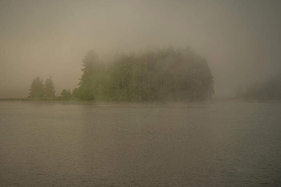 Soft Foggy Morning  Photograph by Bill Posner