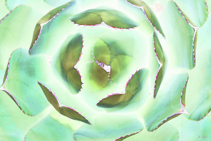 Soft Green Succulent Plant Art Painting by Sharon Cummings