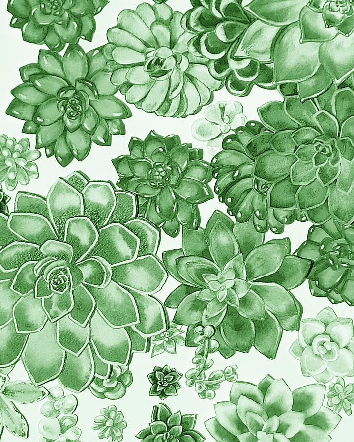 Soft Green Succulent Plants Garden Watercolor Interior Art IV Painting by Irina Sztukowski