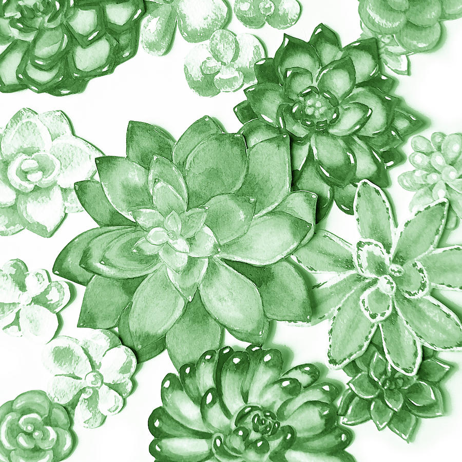 Soft Green Succulent Plants Garden Watercolor Interior Art IX Painting by Irina Sztukowski