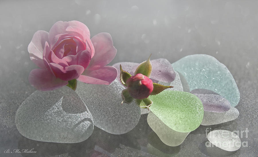 Soft Heart Rose and Beach Glass Photograph by Barbara McMahon
