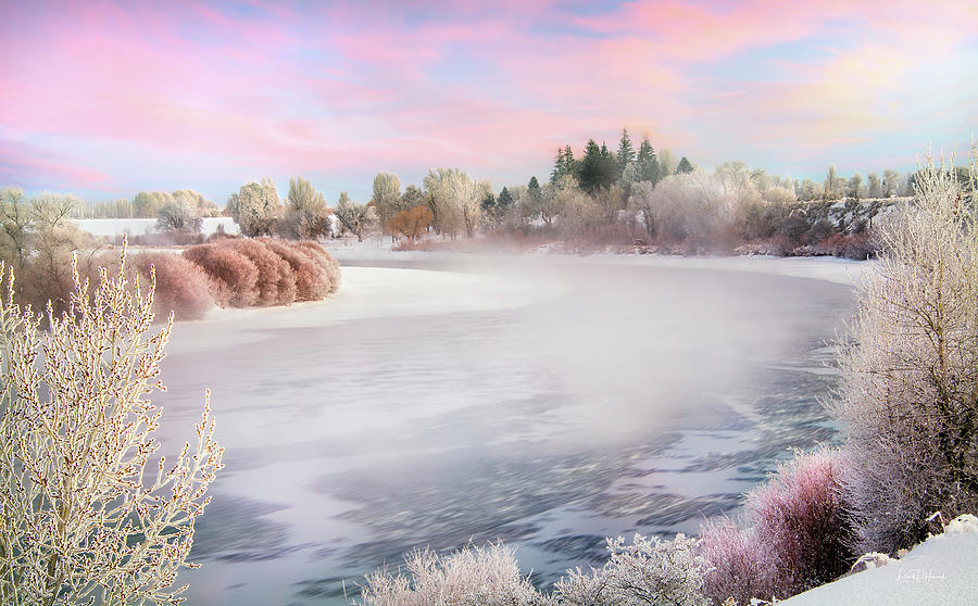 Soft Idaho Winter Beauty Photograph by Leland D Howard