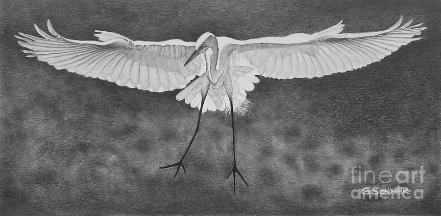 Soft Landing  Drawing by George Sonner